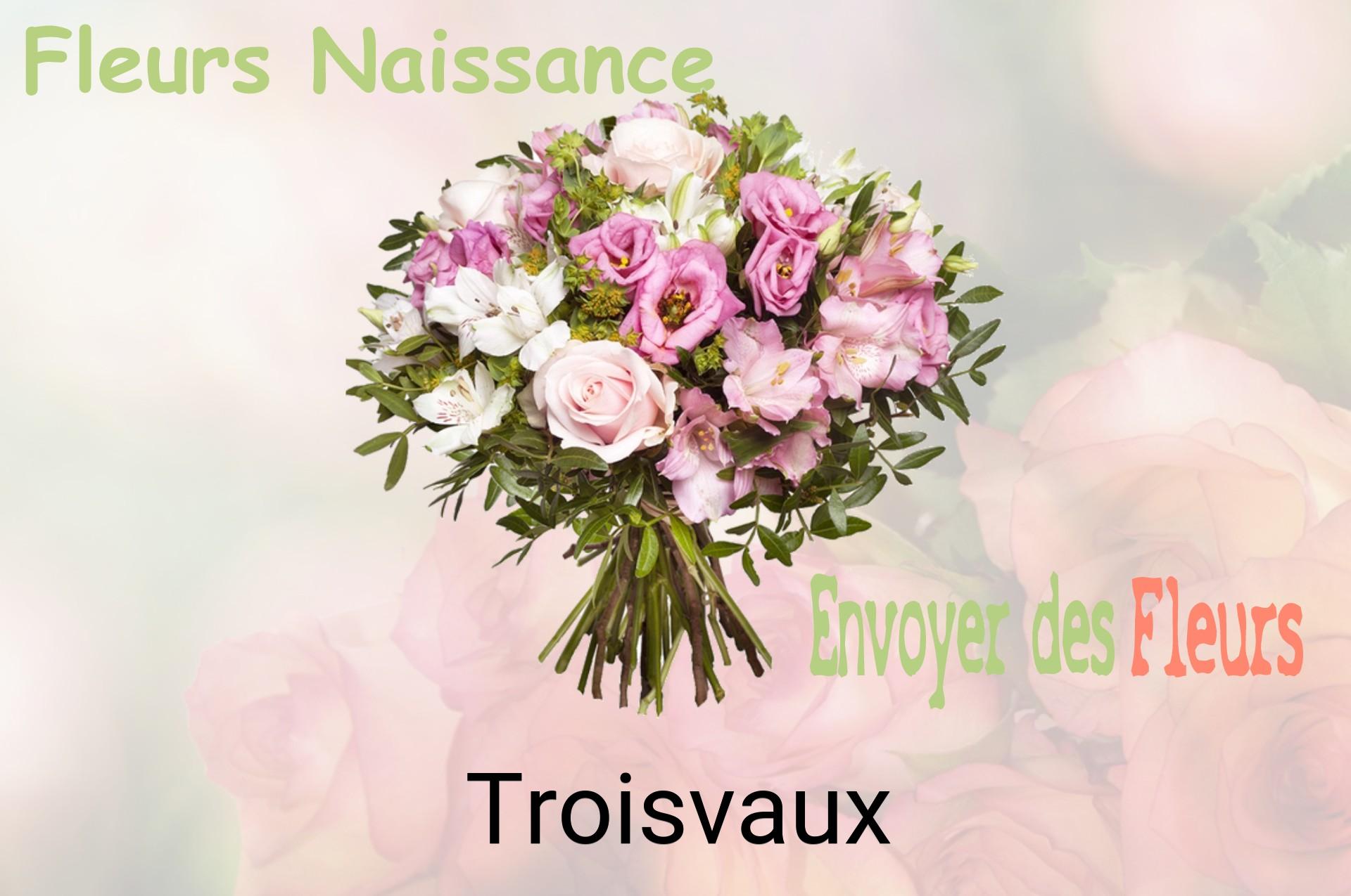 Bouquet de fleurs de naissance livré à Troisvaux